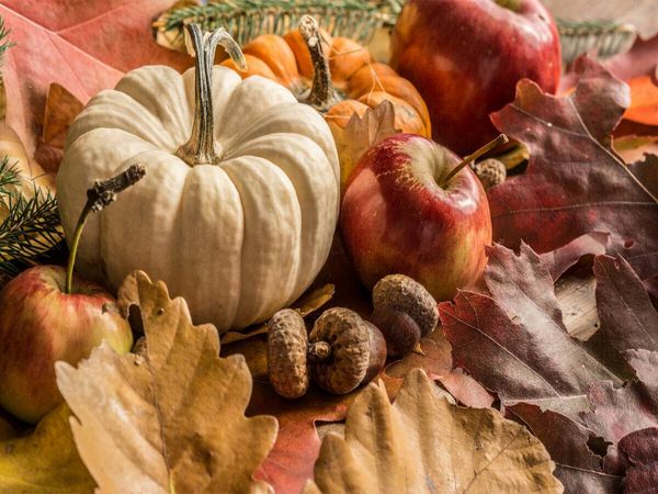 Produktbild: CALVENDO Puzzle K&uuml;rbis, &Auml;pfel, Eicheln und Herbstbl&auml;tter | 1000 Teile Lege-Gr&ouml;&szlig;e 64x48cm Foto-Puzzle f&uuml;r gl&uuml;ckliche Stunden
