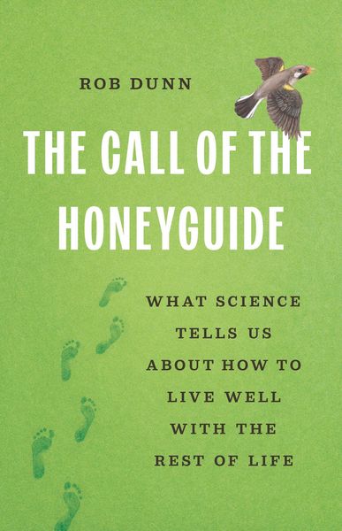 Produktbild: The Call of the Honeyguide