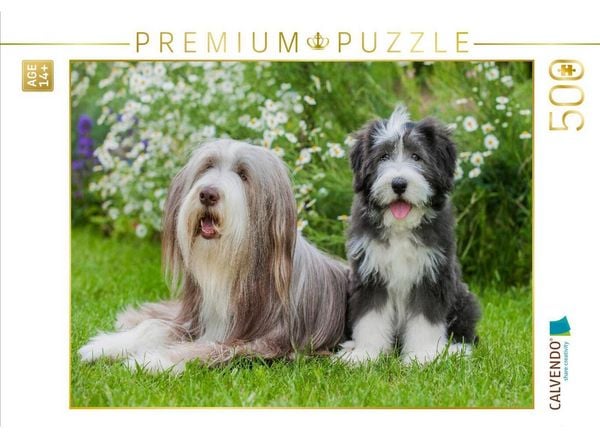 CALVENDO Puzzle Bearded Collie Hündin und Welpe | 500 Teile Lege-Größe 48 × 36 cm Foto-Puzzle für Erwachsene