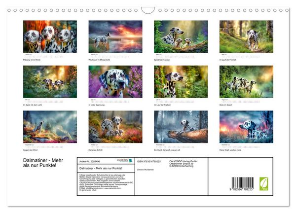 Produktbild: Dalmatiner - Mehr als nur Punkte! (Wandkalender 2027 DIN A3 quer), CALVENDO Monatskalender
