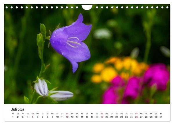 Produktbild: Klosterinsel Reichenau - UNESCO-Welterbe am Bodensee (Wandkalender 2026 DIN A4 quer), CALVENDO Monatskalender