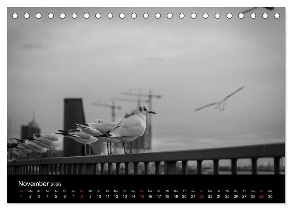 Produktbild: Mein Hamburg (Tischkalender 2026 DIN A5 quer), CALVENDO Monatskalender