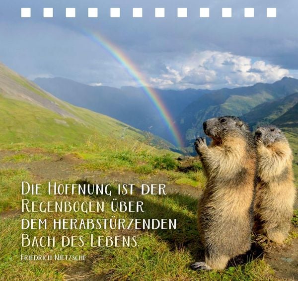 Produktbild: Jeder Tag ist voller kleiner Wunder