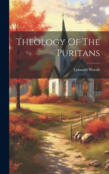 Produktbild: Theology Of The Puritans