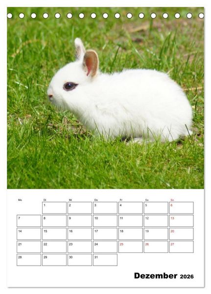 Produktbild: Kaninchen Terminplaner (Tischkalender 2026 DIN A5 hoch), CALVENDO Monatskalender