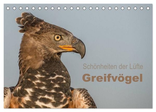 Produktbild: Sch&ouml;nheiten der L&uuml;fte - Greifv&ouml;gel (Tischkalender 2027 DIN A5 quer), CALVENDO Monatskalender