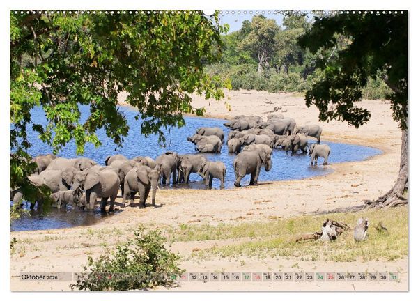 Produktbild: Elefanten in Afrika (hochwertiger Premium Wandkalender 2026 DIN A2 quer), Kunstdruck in Hochglanz
