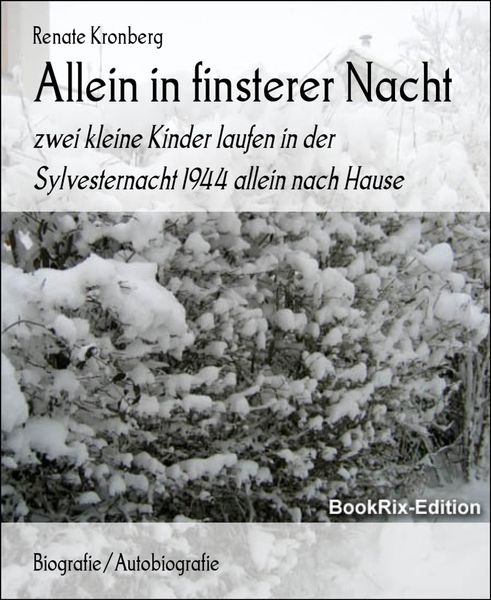 Produktbild: Allein in finsterer Nacht