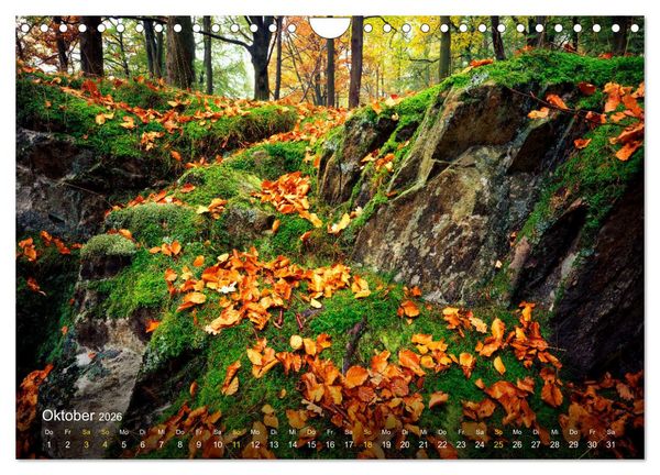 Produktbild: Traum Momente (Wandkalender 2026 DIN A4 quer), CALVENDO Monatskalender