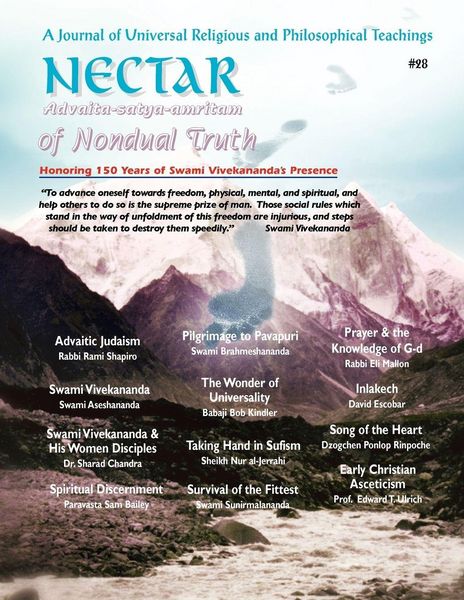 Produktbild: Nectar of Nondual Truth #28; A Journal of Universal Religious and Philosphical Teachings
