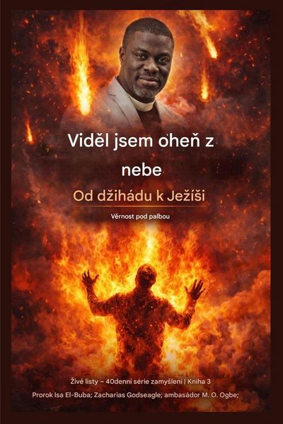Produktbild: Vid&iquest;l jsem ohe&iquest; z nebe