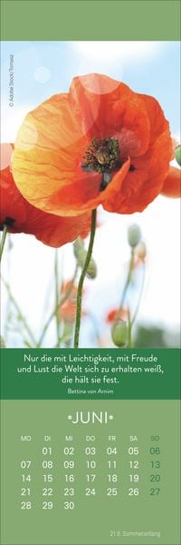 Produktbild: Gute Gedanken Lesezeichen & Kalender 2027