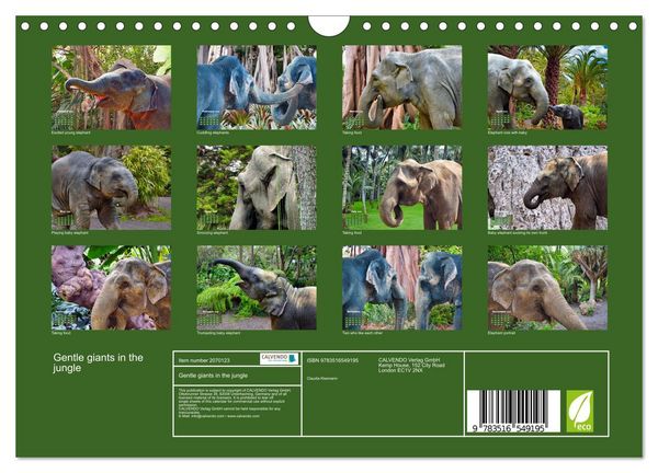 Produktbild: Gentle giants in the jungle (Wall Calendar 2026 DIN A4 landscape), CALVENDO 12 Month Wall Calendar
