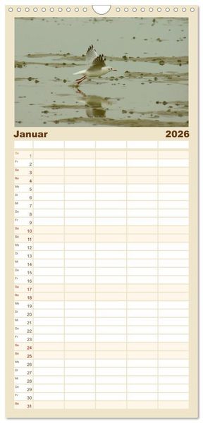 Produktbild: Familienplaner 2026 - An der Nordsee mit 5 Spalten (Wandkalender, 21 x 45 cm) CALVENDO