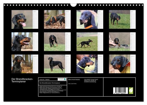 Produktbild: Der Brandlbracken-Terminplaner (Wandkalender 2026 DIN A3 quer), CALVENDO Monatskalender