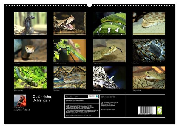 Produktbild: Gef&auml;hrliche Schlangen (hochwertiger Premium Wandkalender 2027 DIN A2 quer), Kunstdruck in Hochglanz