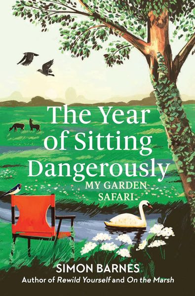 Produktbild: The Year of Sitting Dangerously