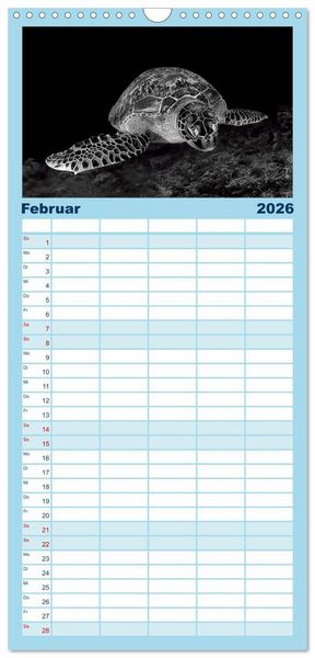Produktbild: Familienplaner 2026 - Schildkr&ouml;ten des Ozeans mit 5 Spalten (Wandkalender, 21 x 45 cm) CALVENDO