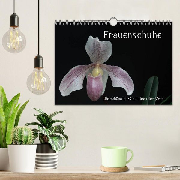 Produktbild: Frauenschuhe - die sch&ouml;nsten Orchideen der Welt (Wandkalender 2026 DIN A4 quer), CALVENDO Monatskalender
