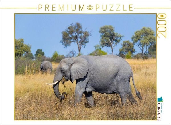 CALVENDO Puzzle Afrikanischer Elefant, Okavango Delta, Botswana. | 2000 Teile Lege-Größe 90x67cm Foto-Puzzle für glückliche Stunden