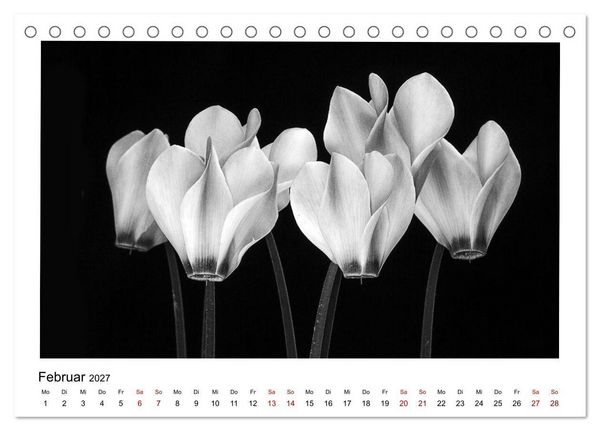 Produktbild: Die grafische Sch&ouml;nheit der Pflanzen &ndash; Schwarz-Wei&szlig; (Tischkalender 2027 DIN A5 quer), CALVENDO Monatskalender