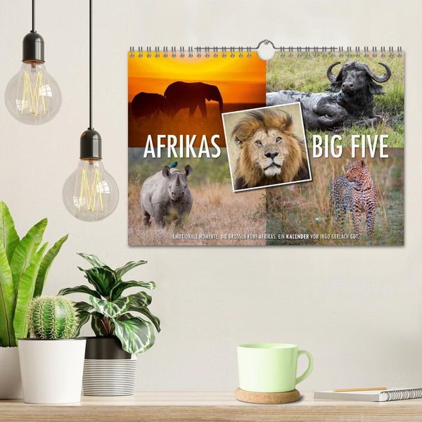 Produktbild: Emotionale Momente: Afrikas Big Five (Wandkalender 2026 DIN A4 quer), CALVENDO Monatskalender