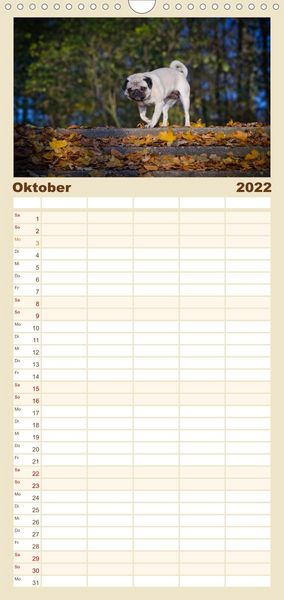 Produktbild: Mops - Familienplaner hoch (Wandkalender 2022 , 21 cm x 45 cm, hoch)