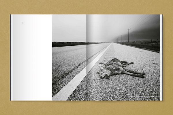 Produktbild: GTX. Galveston/TX and the Gulf Coast