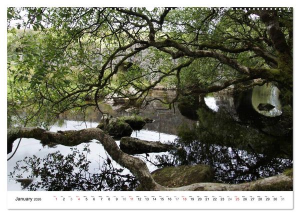Produktbild: Charming - Mystic Devon Dartmoor, South England (High Quality Premium Wall Calendar 2026 DIN A2 landscape),CALVENDO 12 Month Wall Calendar