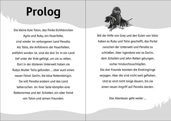 Produktbild: Der letzte Feuerfalke und das magische Ei (Band 13)