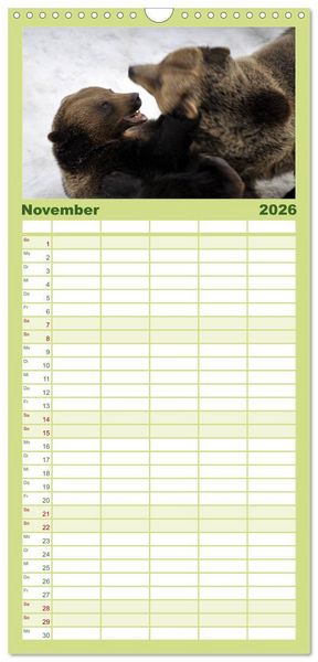Produktbild: Familienplaner 2026 - Begegnungen DER BRAUNB&Auml;R mit 5 Spalten (Wandkalender, 21 x 45 cm) CALVENDO