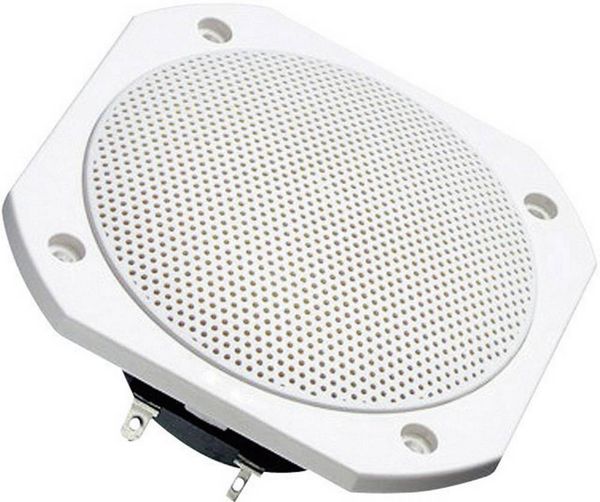 Produktbild: Visaton FRS 10 WP - 8 Ohm 4 Zoll 10 cm Breitb&auml;nder 25 W 8 Ω Wei&szlig; Saunalautsprecher, Einbaulautsprecher, Seewasserbest&auml;ndig