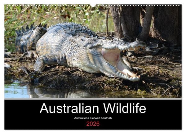 Produktbild: Australian Wildlife (Wandkalender 2026 DIN A2 quer), CALVENDO Monatskalender