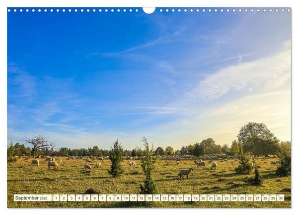 Produktbild: Impressionen aus dem Oberen Donautal (Wandkalender 2026 DIN A3 quer), CALVENDO Monatskalender