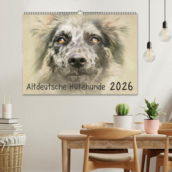 Produktbild: Altdeutsche H&uuml;tehunde 2026 (Wandkalender 2026 DIN A2 quer), CALVENDO Monatskalender