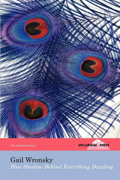 Produktbild: Blue Shadow Behind Everything Dazzling (The Hollyridge Press Chapbook Series)