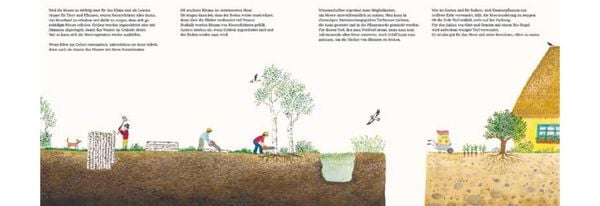 Produktbild: Im Moor – Kiebitz, Frosch und Sonnentau