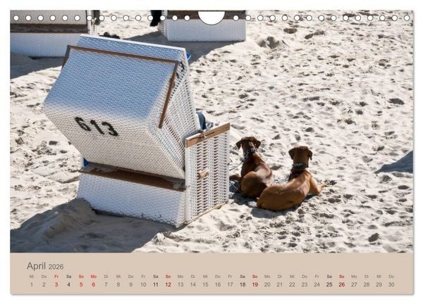 Produktbild: Sylt-Momente (Wandkalender 2026 DIN A4 quer), CALVENDO Monatskalender