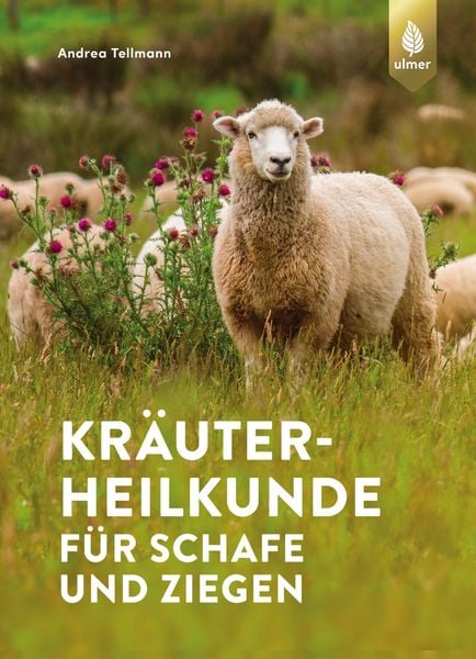 Produktbild: Kr&auml;uterheilkunde f&uuml;r Schafe und Ziegen