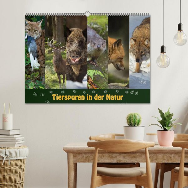 Produktbild: Tierspuren in der Natur (Wandkalender 2026 DIN A2 quer), CALVENDO Monatskalender