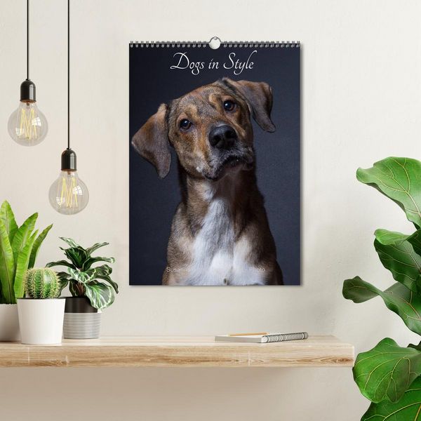 Produktbild: Dogs in Style (Wall Calendar 2026 DIN A3 portrait), CALVENDO 12 Month Wall Calendar