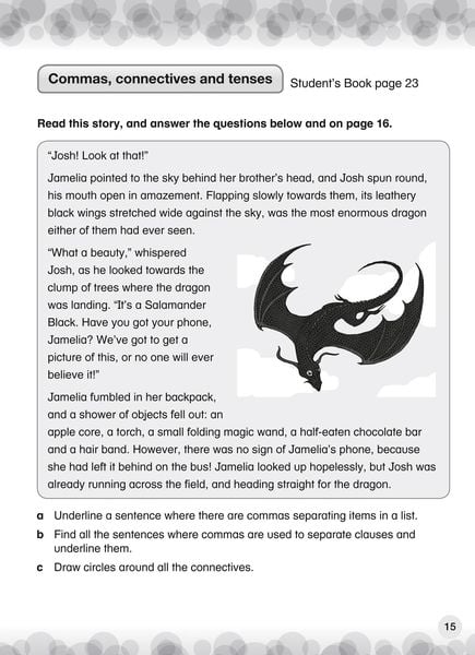 Produktbild: International Primary English Workbook: Stage 3