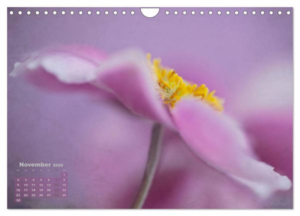 Produktbild: Zauberhafte Bl&uuml;ten (Wandkalender 2026 DIN A4 quer), CALVENDO Monatskalender