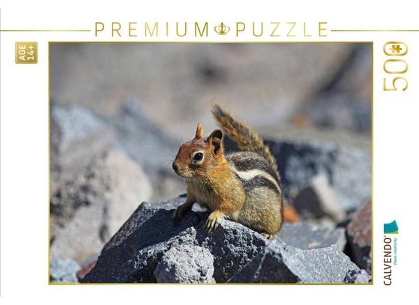 CALVENDO Puzzle Goldmantelziesel im Crater Lake Nationalpark (USA) | 500 Teile Lege-Größe 48 × 36 cm Foto-Puzzle für Erwachsene