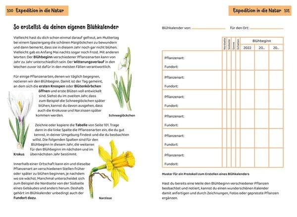 Produktbild: Was bl&uuml;ht denn da? Kindernaturf&uuml;hrer