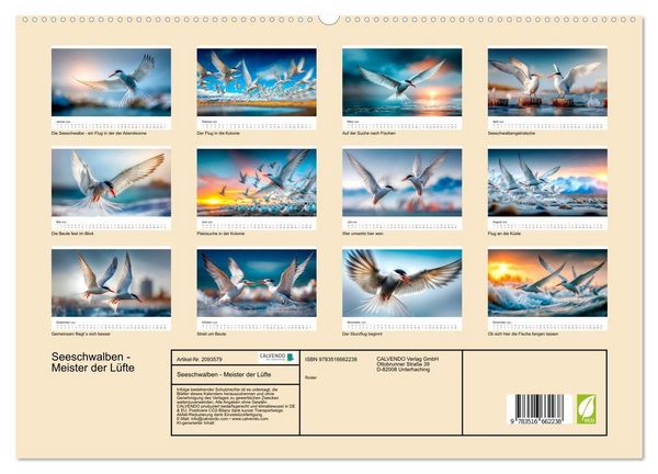 Produktbild: Seeschwalben - Meister der L&uuml;fte (hochwertiger Premium Wandkalender 2026 DIN A2 quer), Kunstdruck in Hochglanz