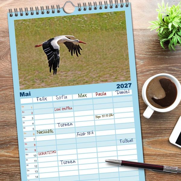 Produktbild: Familienplaner 2027 - V&ouml;gel im Flug - Akrobaten der L&uuml;fte mit 5 Spalten (Wandkalender, 21 x 45 cm) CALVENDO