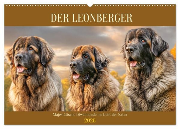 Produktbild: Der Leonberger. Majest&auml;tische L&ouml;wenhunde im Licht der Natur (Wandkalender 2026 DIN A2 quer), CALVENDO Monatskalender