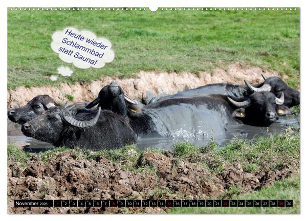 Produktbild: Wenn Tiere sprechen k&ouml;nnten! Der lustige Spr&uuml;che Kalender (Wandkalender 2026 DIN A2 quer), CALVENDO Monatskalender