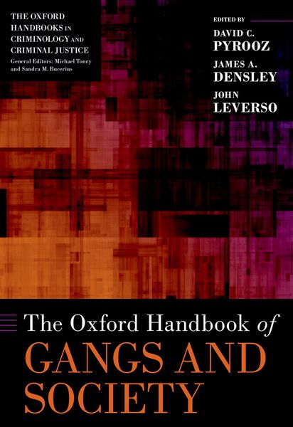 Produktbild: The Oxford Handbook of Gangs and Society